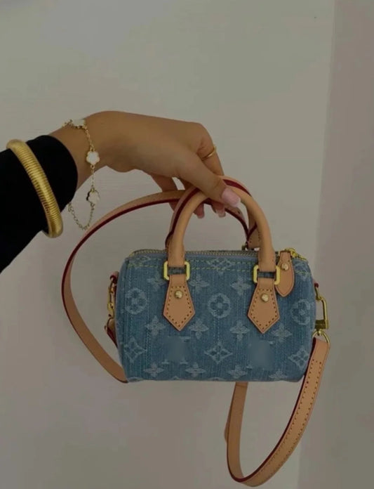 LV Denim Mini Speedy Bag
